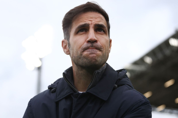 Арсенал &mdash; ПСЖ, Лига чемпионов, 29 апреля 2025: последний полуфинал Арсенала в ЛЧ, что стало с игроками: Фабрегас, ван Перси, Насри