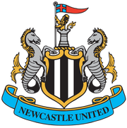 "Ипсвич" проиграл "Ньюкаслу" и лишился шансов на сохранение прописки в АПЛ